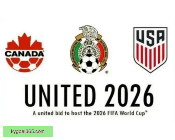 聚焦美加墨世界杯投注趋势解析与球迷理性参与及风险识别指南