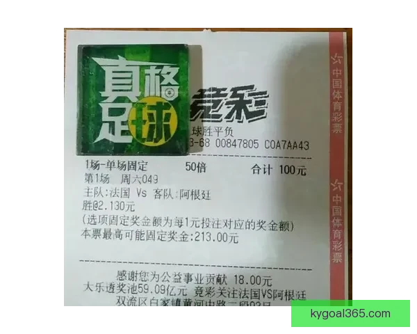世界杯竞猜网站全攻略新手入门投注技巧与赛事预测深度解析指南